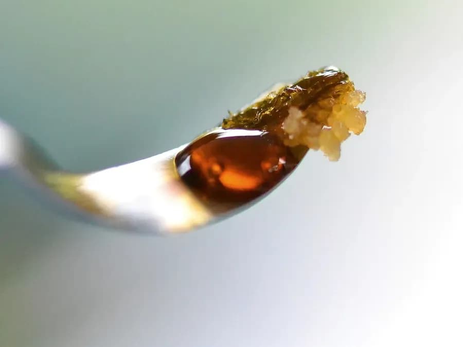 Amber cannabis concentrate on parchment